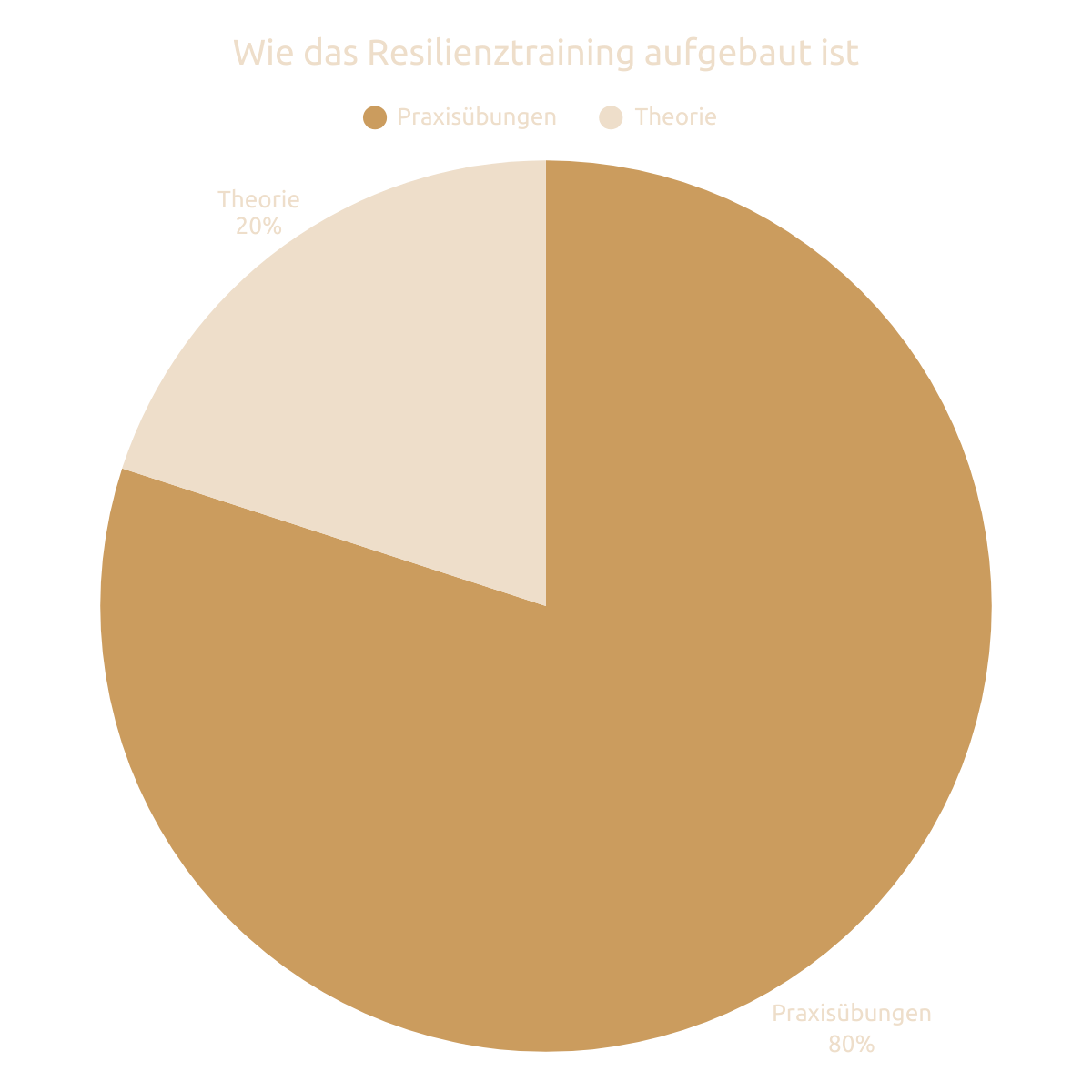 Resilienztraining Nürnberg für Unternehmen - Theorie und Praxis